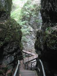 PGZ