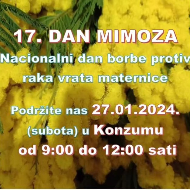Dan mimoza