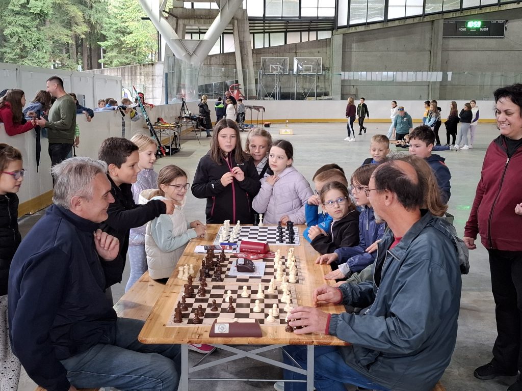 Festival sporta
