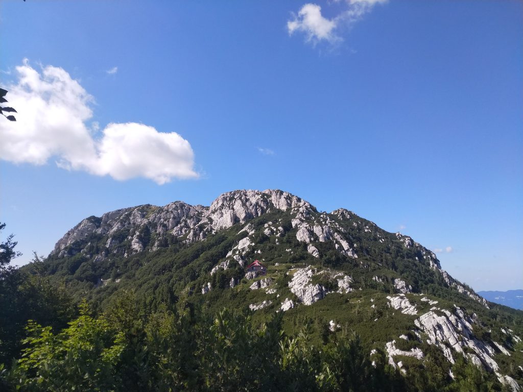 NP Risnjak
