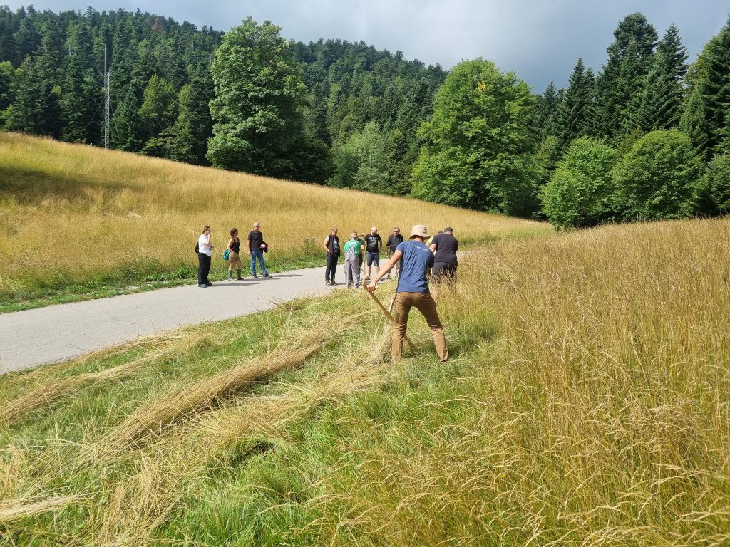NP Risnjak-košnja